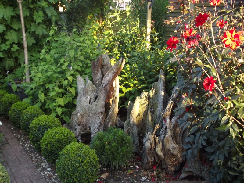 Bleak Hill Nursery & Garden